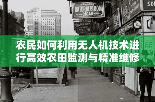 农民如何利用无人机技术进行高效农田监测与精准维修？