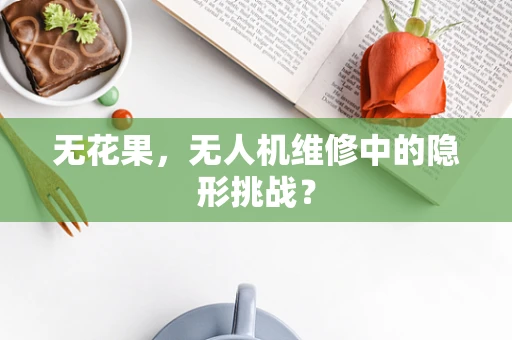 无花果，无人机维修中的隐形挑战？