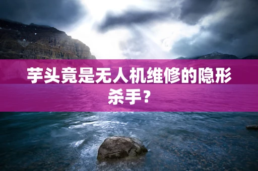 芋头竟是无人机维修的隐形杀手？