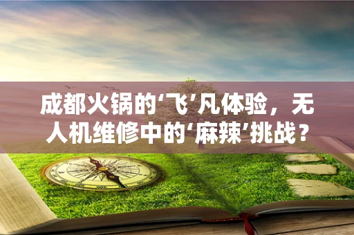 成都火锅的‘飞’凡体验，无人机维修中的‘麻辣’挑战？