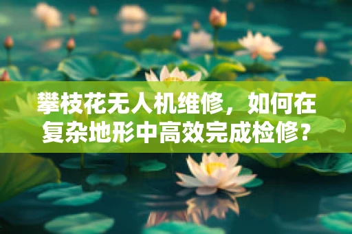 攀枝花无人机维修，如何在复杂地形中高效完成检修？