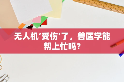 无人机‘受伤’了，兽医学能帮上忙吗？