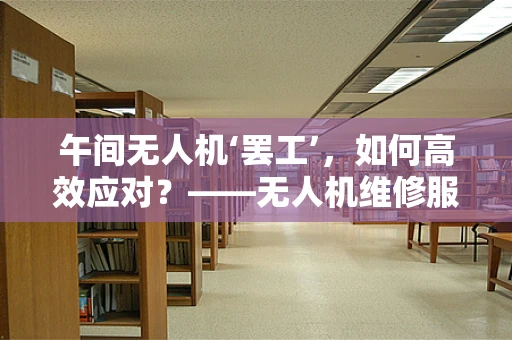 午间无人机‘罢工’，如何高效应对？——无人机维修服务中的时间管理策略